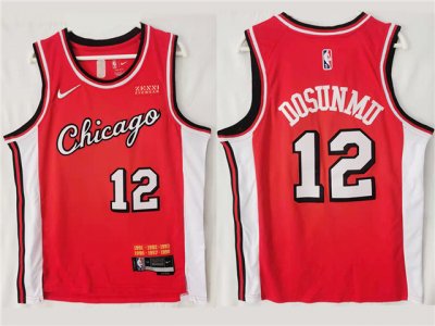 Chicago Bulls #12 Ayo Dosunmu 2021-22 Red City Edition Swingman Jersey