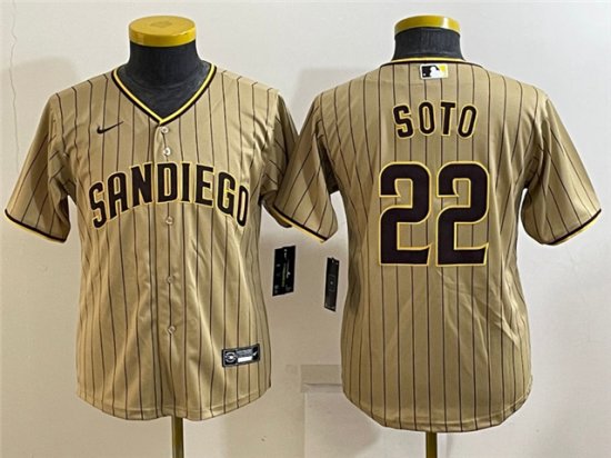 Youth San Diego Padres #22 Juan Soto Gray Pinstripe Cool Base Jersey