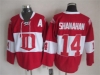 Detroit Red Wings #14 Brendan Shanahan CCM Vintage Red Jersey