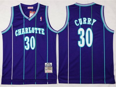Charlotte Hornets #30 Dell Curry Purple Hardwood Classic Jersey