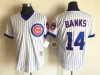 Chicago Cubs #14 Ernie Banks White Stripe Throwback Jersey