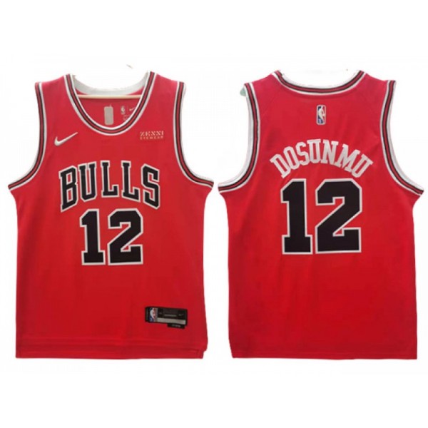 Chicago Bulls #12 Ayo Dosunmu Red Swingman Jersey