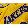 Los Angeles Lakers #6 Lebron James Yellow Embroider Edition Swingman Jersey