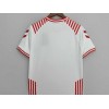 Denmark 2022 Hummel x BLS Hafnia Limited Edition White Jersey